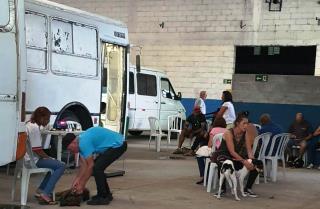 Itapecerica da Serra realiza 3ª etapa da Campanha de Castração e Microchipagem de Cães e Gatos