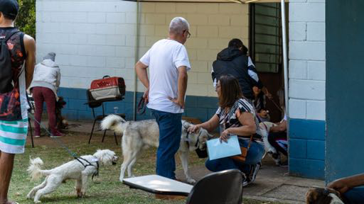 Neste final de semana Taboão da Serra realiza Mutirão Castra Pets