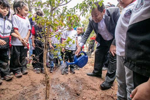 Taboão da Serra celebra Dia da Árvore com plantio e Instrução Normativa que viabiliza doação de mudas