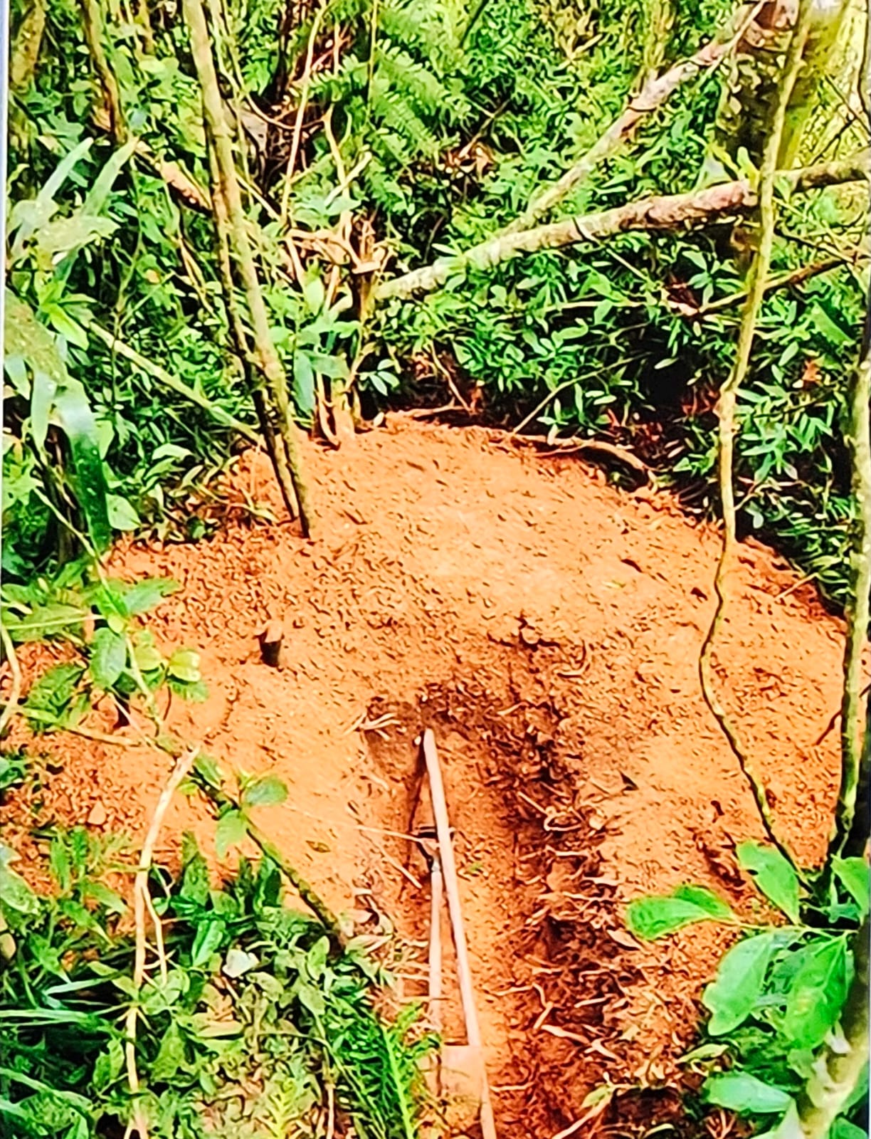 Cemitério clandestino é encontrado na divisa entre Itapecerica da Serra e Embu das Artes