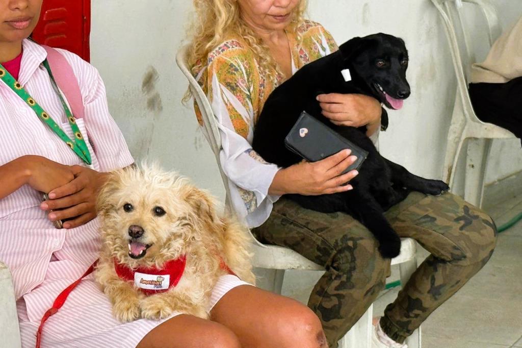 Prefeitura de Itapecerica da Serra promove ações de castração e vacinação antirrábica em prol da saúde animal