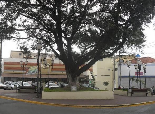 Morador de rua armado com uma faca amedronta os comerciantes do centro de Itapecerica da Serra